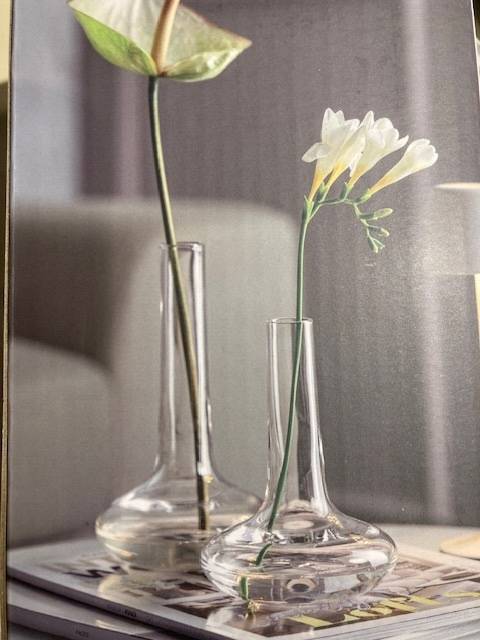 ardeco_leonardo